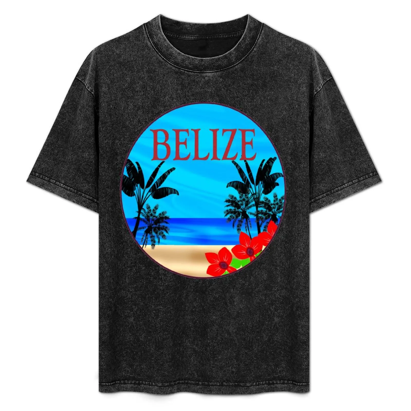 BELIZE TRUTH T-Shirt graphic shirts kawaii clothes vintage t shirts mens tall t shirts
BELIZE TRUTH T-Shirt graphic shirts kawaii clothes vintage t shirts mens tall t shirts