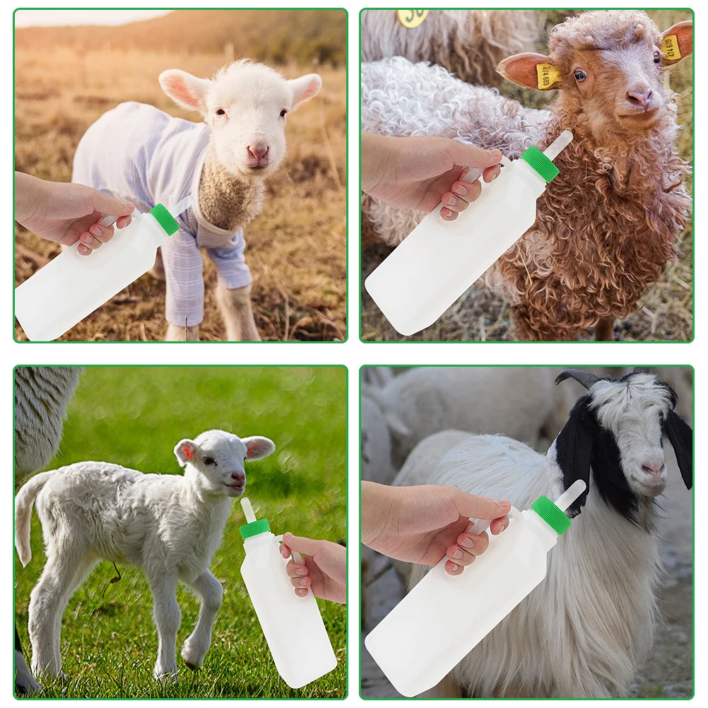 1 Set Lamb Nursing Bottle with Handle Plastic Silicone Livestock Feeder Calf Bottle Milk Feeder Smooth Surface Small Animal
1 Set Lamb Nursing Bottle with Handle Plastic Silicone Livestock Feeder Calf Bottle Milk Feeder Smooth Surface Small Animal