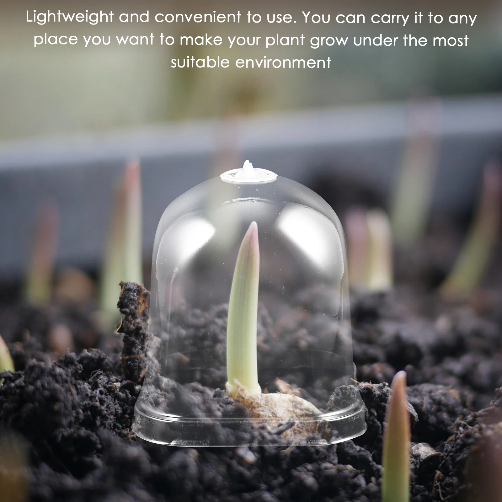 10 Pcs Square Flower Pot Seedling Cover Cloche Plant Nursery Humidity Dome Transparent Adjustable Air Vent Garden Tool Plastic
10 Pcs Square Flower Pot Seedling Cover Cloche Plant Nursery Humidity Dome Transparent Adjustable Air Vent Garden Tool Plastic