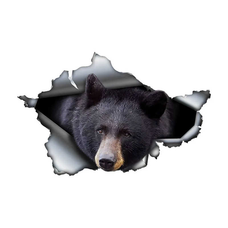 DK569# Black Bear Car Stickers Funny Waterproof Vinyl Decal Motorcycle Decorative Accessories, Used for Car, Motorcycle, Laptop,
DK569# Black Bear Car Stickers Funny Waterproof Vinyl Decal Motorcycle Decorative Accessories, Used for Car, Motorcycle, Laptop,