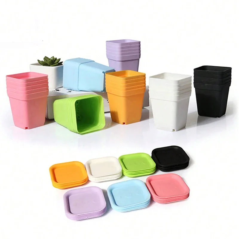 10PCS Gardening Mini Small Square Pot Seven Colors Flower Pot Succulent Pot Little Black Square Plastic Pot Seedling Tray TMZ
10PCS Gardening Mini Small Square Pot Seven Colors Flower Pot Succulent Pot Little Black Square Plastic Pot Seedling Tray TMZ