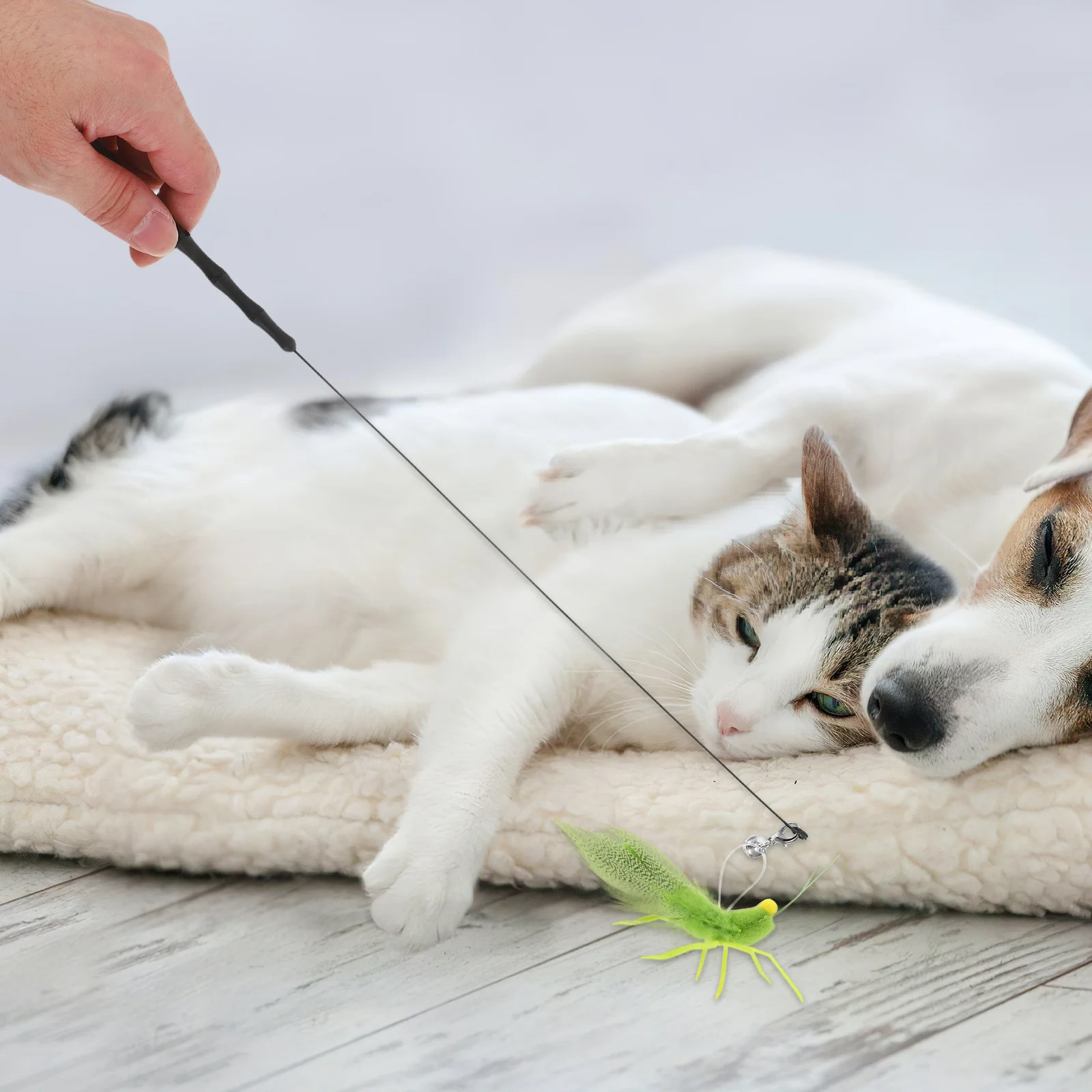 1Set Cat Wand Interactive Realistic Silicone Plume Kitten Teaser for Indoor Play Exercise Wand Toy
1Set Cat Wand Interactive Realistic Silicone Plume Kitten Teaser for Indoor Play Exercise Wand Toy