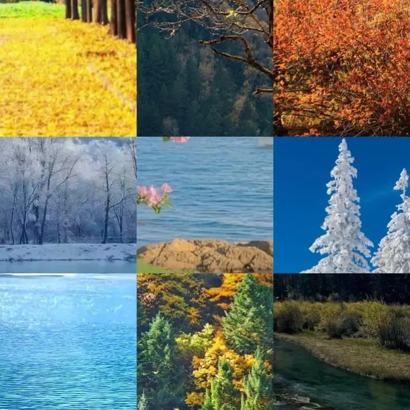 Карта расширения PCI для жестких дисков с двумя каналами, 4-битовая, с кабелем SATA
Карта расширения PCI для жестких дисков с двумя каналами, 4-битовая, с кабелем SATA