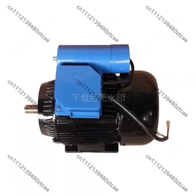 280/380 Universal Pure Copper Motor 220V High Pressure Car Washer Pump Spare Parts
280/380 Universal Pure Copper Motor 220V High Pressure Car Washer Pump Spare Parts