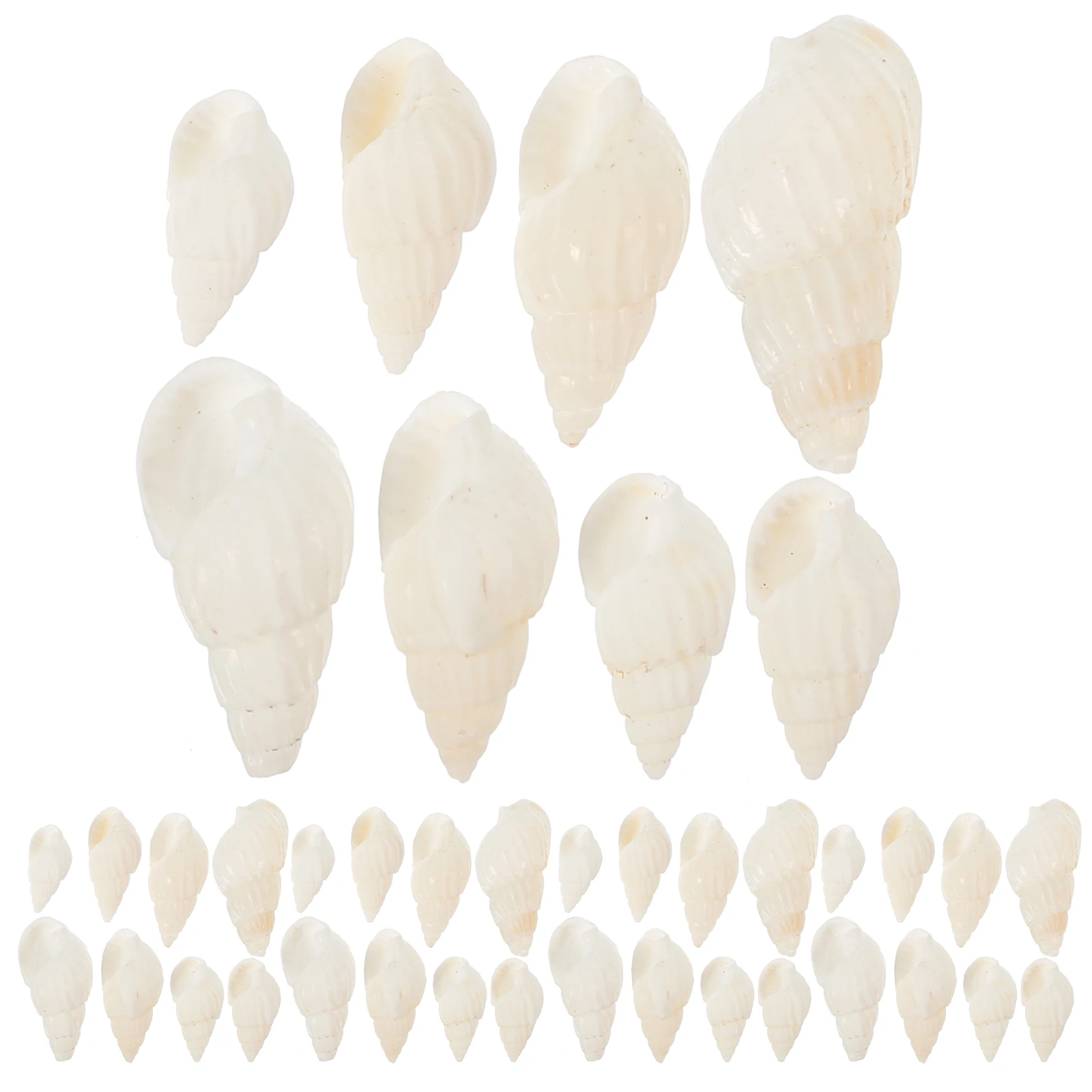 200pcs Conch Shells 1 1 5cm Fish Tank Decor Natural Ornaments for Aquarium Landscape DIY Crab Shells Replacement Pet
200pcs Conch Shells 1 1 5cm Fish Tank Decor Natural Ornaments for Aquarium Landscape DIY Crab Shells Replacement Pet