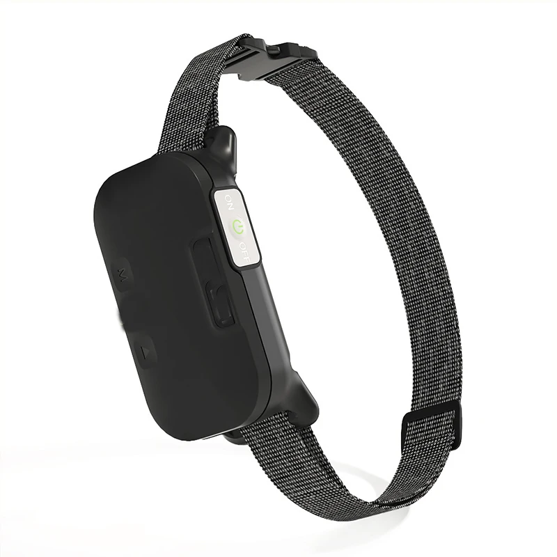 100pcs Accessories Cute Electric Rotating Colorful Butterfly Bird Funny Dog Cat Toys Scratch Toy For Cat Small Dog Cats
100pcs Accessories Cute Electric Rotating Colorful Butterfly Bird Funny Dog Cat Toys Scratch Toy For Cat Small Dog Cats