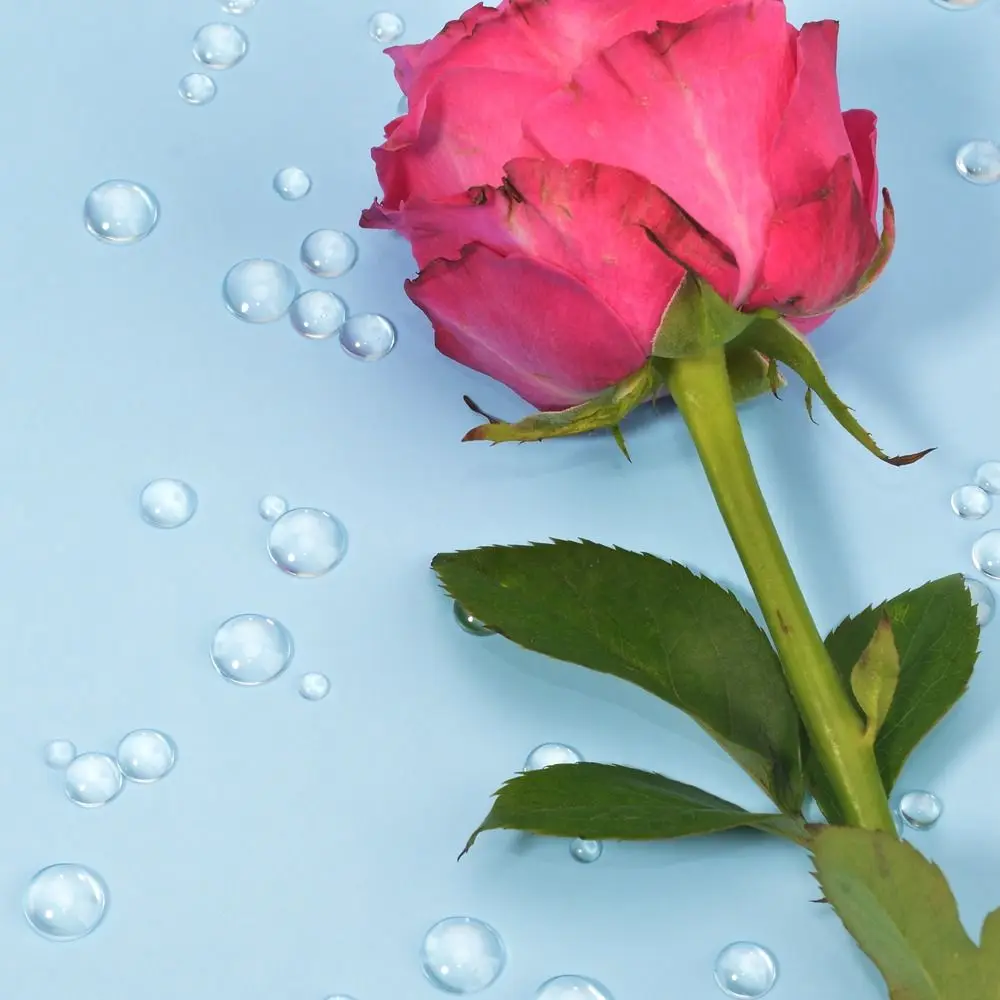 DIY Handicraft For DIY Cards Make Embossing Decor Drip Decoration Simulation Dewdrop Waterdrop Scrapbooking Accessories
DIY Handicraft For DIY Cards Make Embossing Decor Drip Decoration Simulation Dewdrop Waterdrop Scrapbooking Accessories