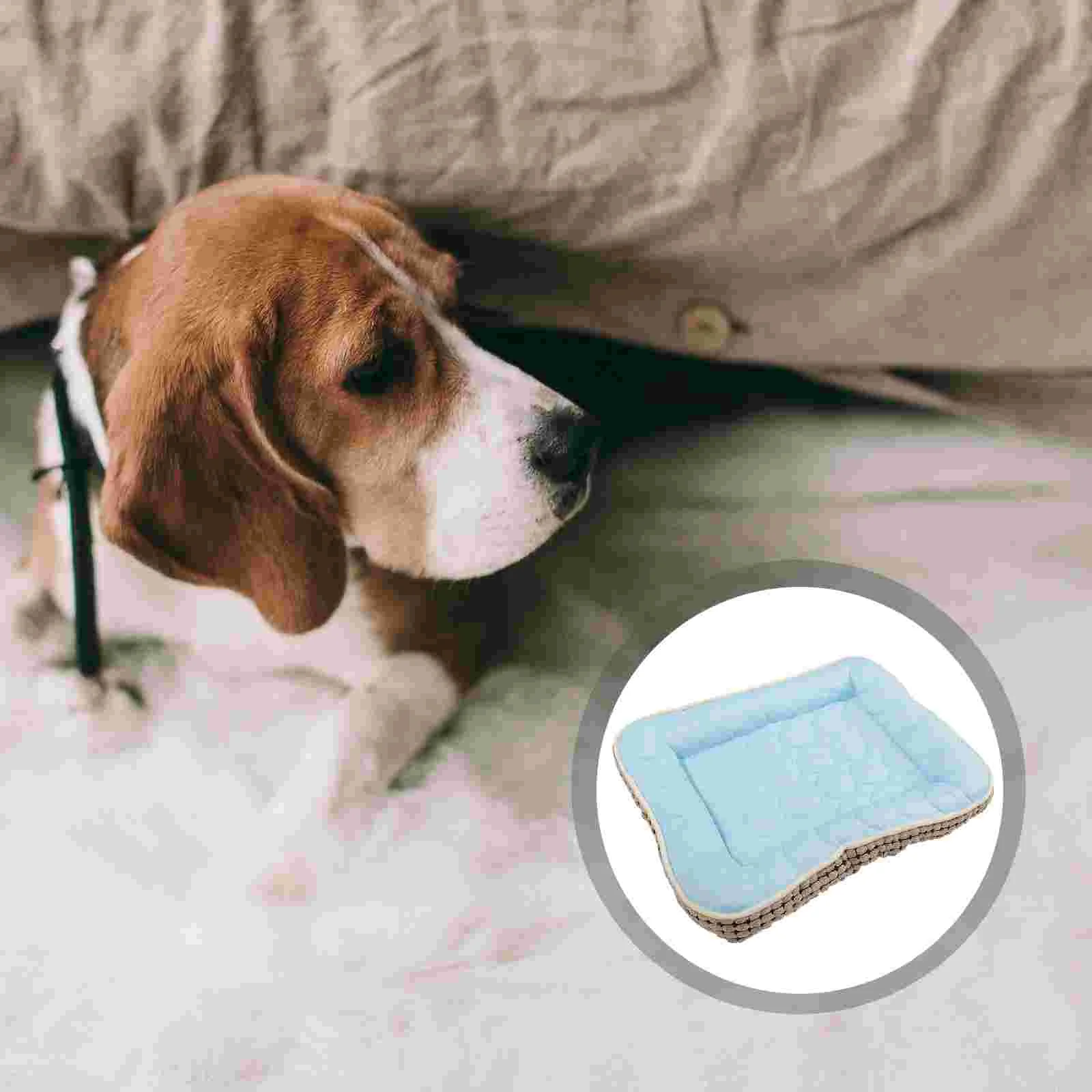 Pet Mat Cat Cushion Puppy Bed Cooling Pad Sleep Supply Dog Sleeping Summer Pads
Pet Mat Cat Cushion Puppy Bed Cooling Pad Sleep Supply Dog Sleeping Summer Pads