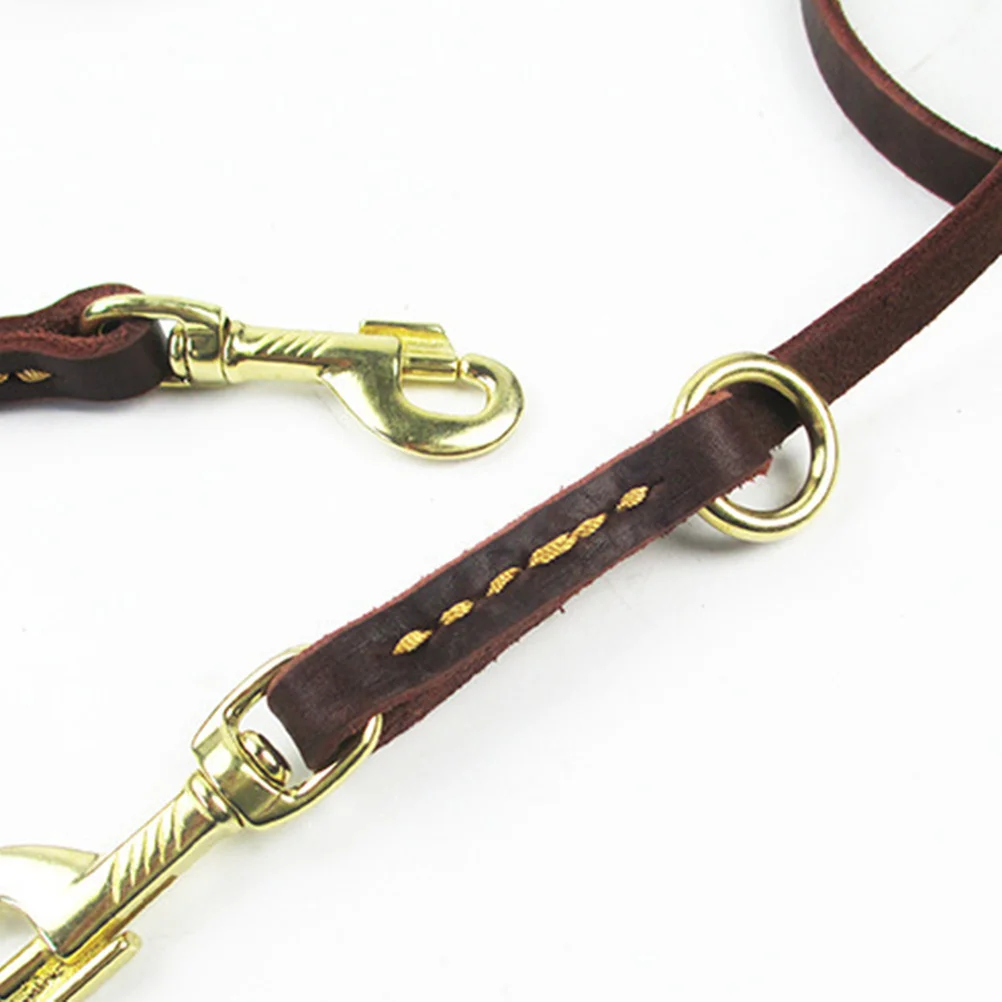 1pc Premium Dog Leash 2.3M Adjustable For Small Medium Dogs Walking Running Camping Hiking Pet Supplies Traction Rope
1pc Premium Dog Leash 2.3M Adjustable For Small Medium Dogs Walking Running Camping Hiking Pet Supplies Traction Rope