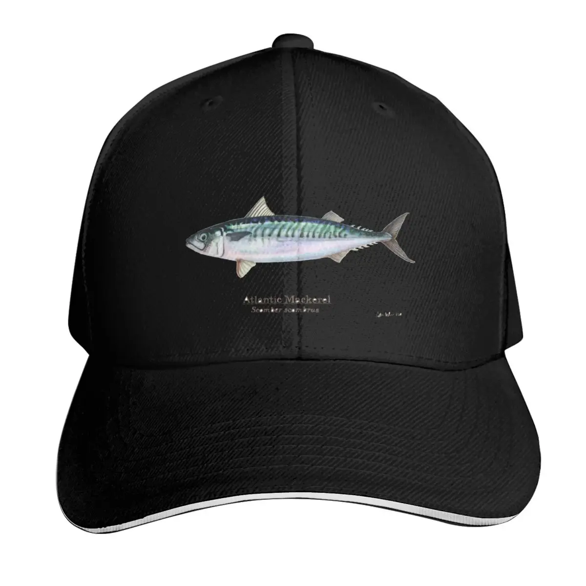 Atlantic mackerel Baseball Cap Hat Beach Bobble Hat Cosplay tea Hat Boy Child Women's
Atlantic mackerel Baseball Cap Hat Beach Bobble Hat Cosplay tea Hat Boy Child Women's