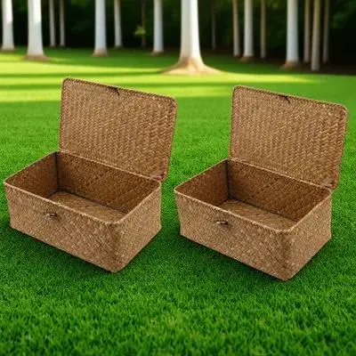 2Pcs Seaweed Storage Box Natural Woven Basket Organizer for Home Room Makeup Clothes Storage Solution Container
2Pcs Seaweed Storage Box Natural Woven Basket Organizer for Home Room Makeup Clothes Storage Solution Container