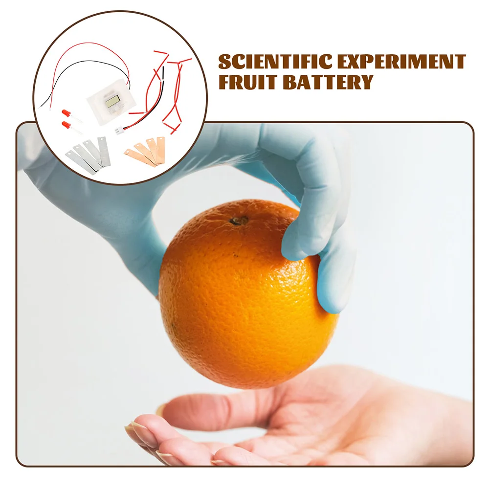 2 Sets Fruit Experiment Kit Educational Science Toys DIY Projects Physics Learning Tools Student Supplies
2 Sets Fruit Experiment Kit Educational Science Toys DIY Projects Physics Learning Tools Student Supplies