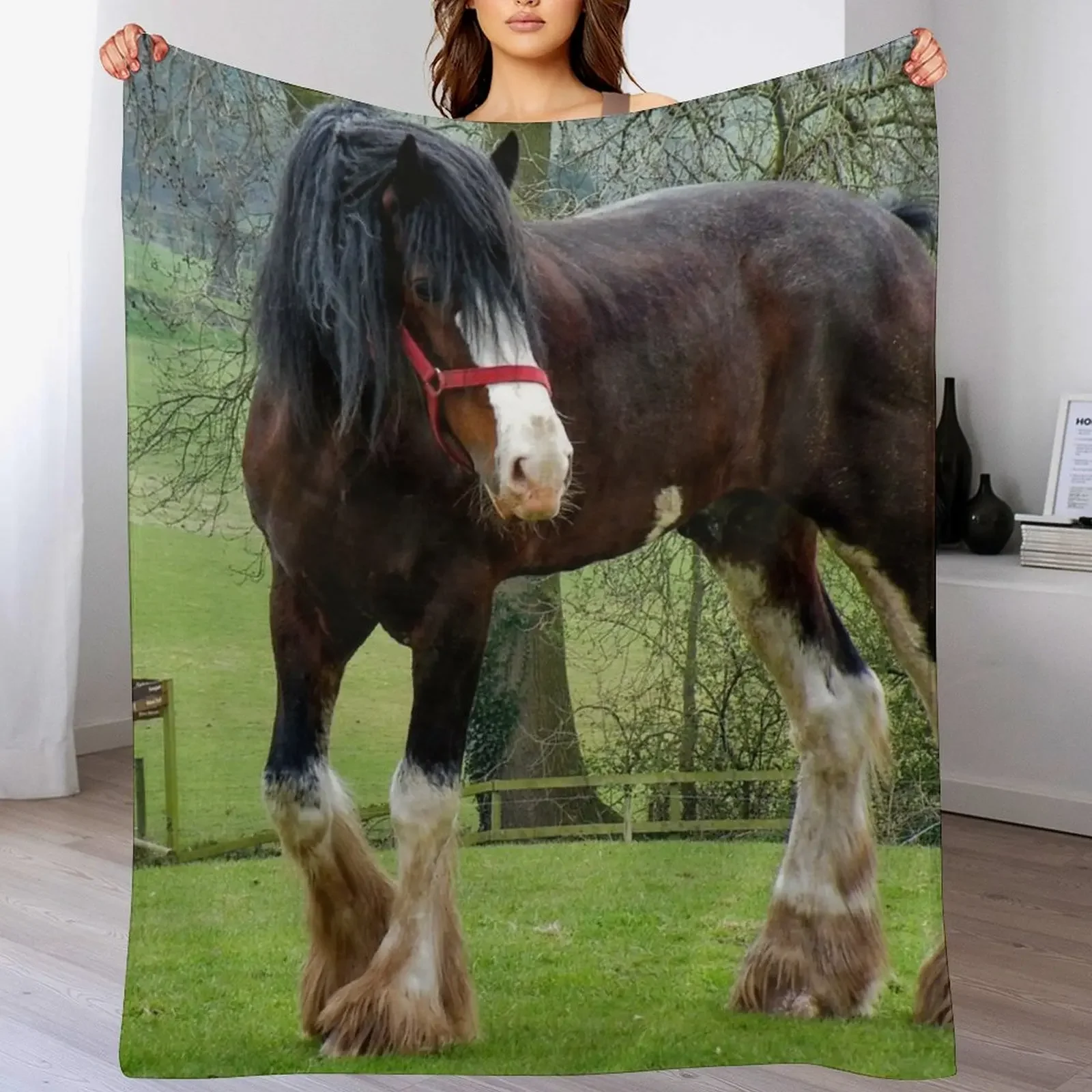 Shire Horse Throw Blanket Outdoor Soft Blanket for Picnic Beach Camping
Shire Horse Throw Blanket Outdoor Soft Blanket for Picnic Beach Camping