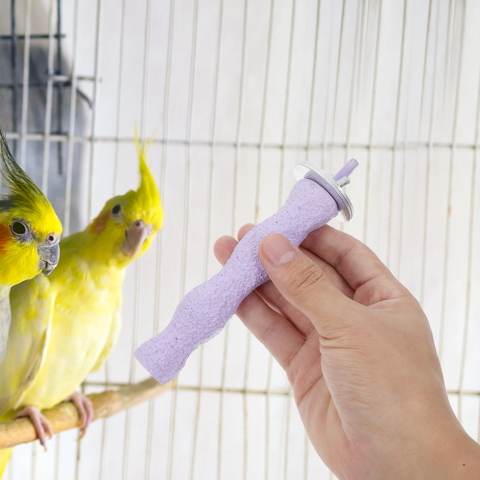 14 CM Bird Claw Stick Rough Sand Perches for Cockatoos Parakeet Cages Ecofriendly Natural Wood Toys Foot Exercise Beak Nail
14 CM Bird Claw Stick Rough Sand Perches for Cockatoos Parakeet Cages Ecofriendly Natural Wood Toys Foot Exercise Beak Nail