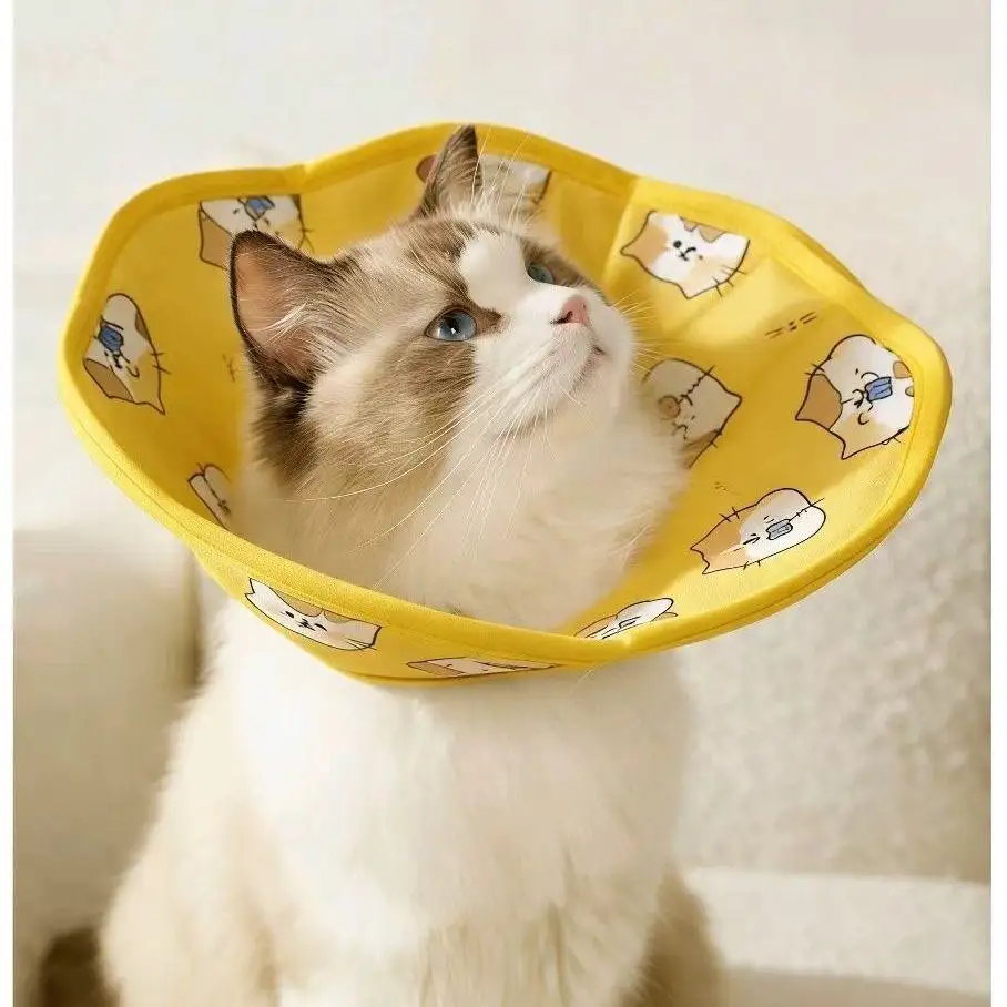 1pc Soft Cat Recovery Collar Protective Adjustable Pet Cone Collar for After Surgery Comfortable Lightweight Elizabethan Collar
1pc Soft Cat Recovery Collar Protective Adjustable Pet Cone Collar for After Surgery Comfortable Lightweight Elizabethan Collar