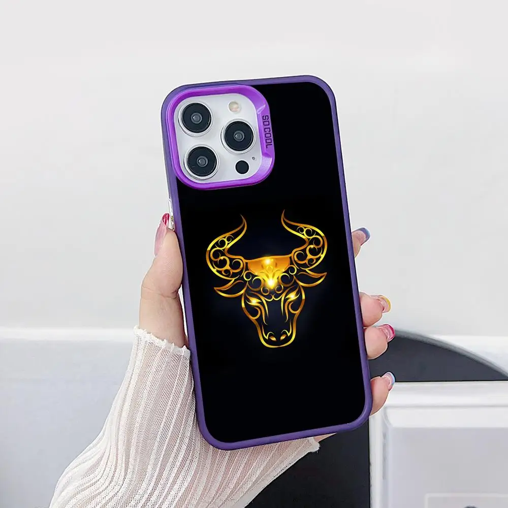 Bull Head Phone Case for iPhone 17 16 15 14 13 12 11 X XR XS Air Pro Max Plus Purple Colorful Silver Cover
Bull Head Phone Case for iPhone 17 16 15 14 13 12 11 X XR XS Air Pro Max Plus Purple Colorful Silver Cover