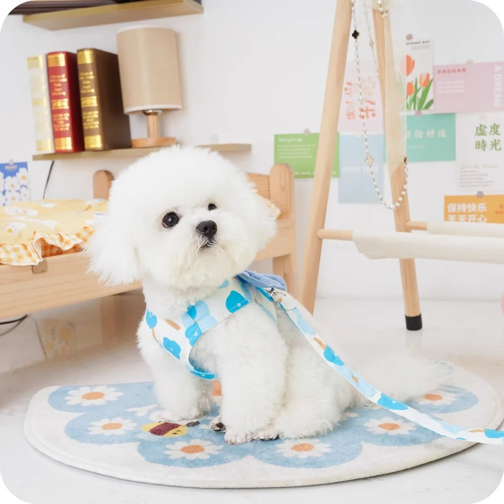Fashion Adjustable Dog Leash Vest Breathable Comfortable Puppy Chest Strap Lightweight with Leash Dog Harness Vest Poodle
Fashion Adjustable Dog Leash Vest Breathable Comfortable Puppy Chest Strap Lightweight with Leash Dog Harness Vest Poodle