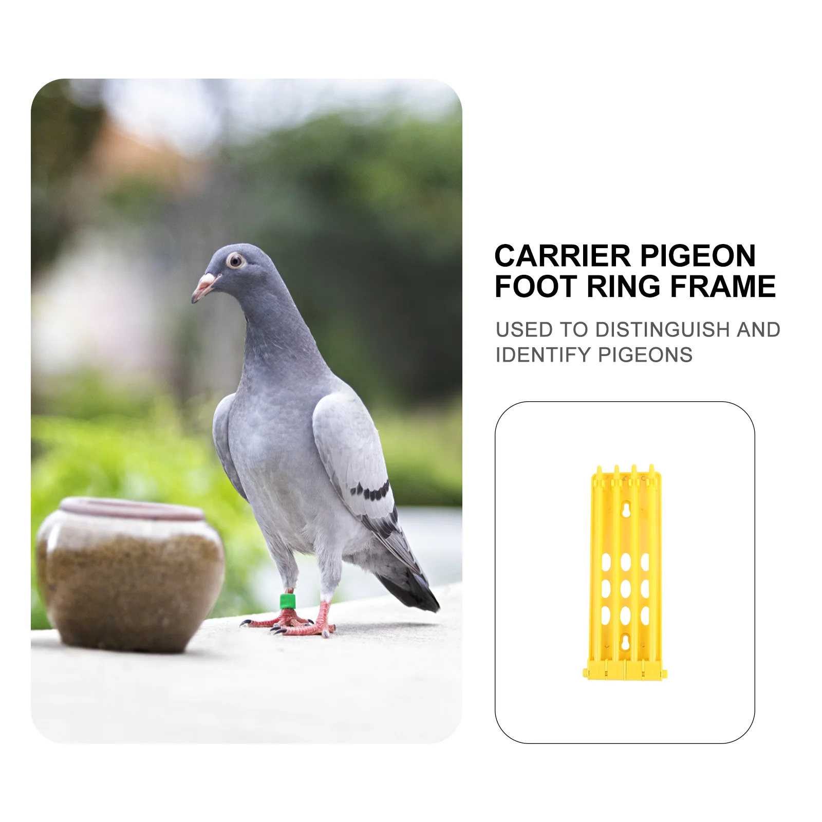 Racing Pigeon Ring Rack Bird Foot Ring Rack Foot Ring Storage Holder Racing Pigeon Accessories Pigeon Foot Storage Shelf
Racing Pigeon Ring Rack Bird Foot Ring Rack Foot Ring Storage Holder Racing Pigeon Accessories Pigeon Foot Storage Shelf