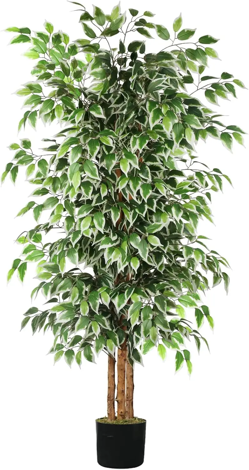 6ft Artificial Ficus Tree, Tall Faux Tree Indoor with Natural Trunk and Silk Leaves for Home Decor Living Room Office
6ft Artificial Ficus Tree, Tall Faux Tree Indoor with Natural Trunk and Silk Leaves for Home Decor Living Room Office