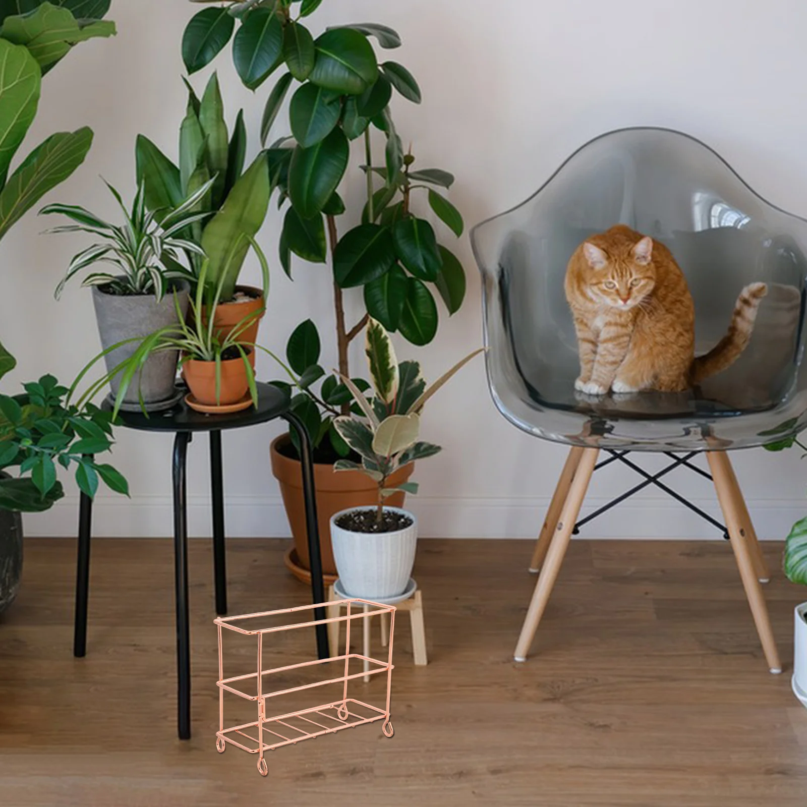 Cat Litter Shovel Storage Rack Scoop Organizer Hollow Structure Holder Bathroom Mess Prevention Durable Metal Compact Design Pet
Cat Litter Shovel Storage Rack Scoop Organizer Hollow Structure Holder Bathroom Mess Prevention Durable Metal Compact Design Pet