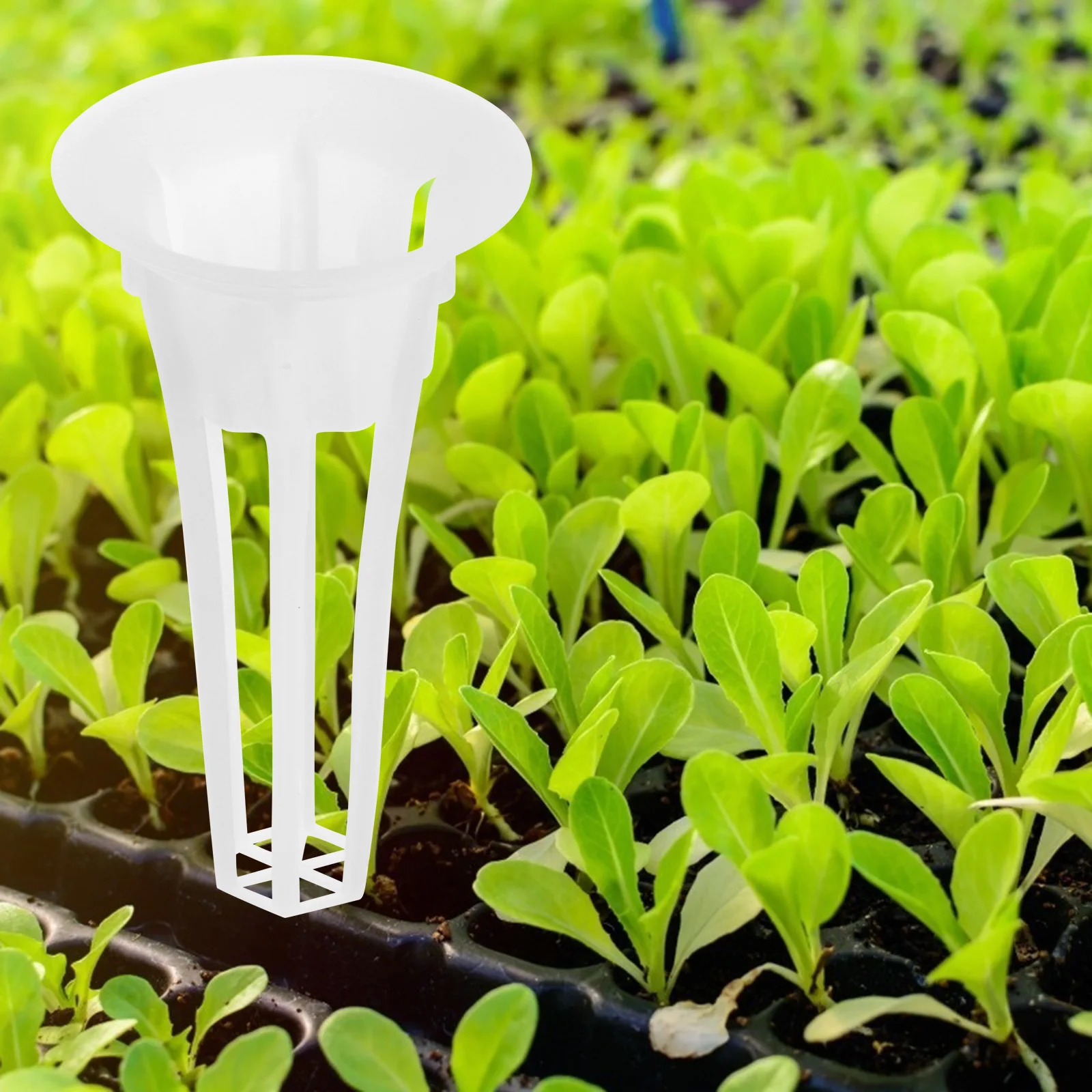 50Pcs Soilless Culture Cups Durable Breathable Plant Growth Basket Excellent Craftsmanship Long Lasting Hydroponic Baskets 
50Pcs Soilless Culture Cups Durable Breathable Plant Growth Basket Excellent Craftsmanship Long Lasting Hydroponic Baskets