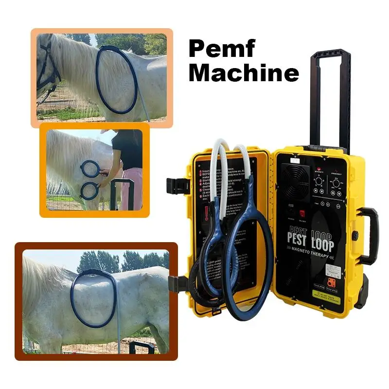 Horse Use Pemf Machine for Relax Tight Muscles Relieve Physical Stress and Enhance Muscle Relaxation
Horse Use Pemf Machine for Relax Tight Muscles Relieve Physical Stress and Enhance Muscle Relaxation