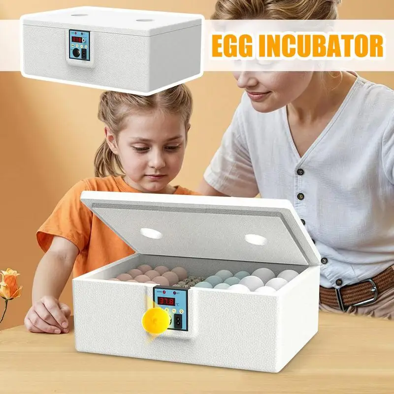 Chicken Incubators for Hatching Eggs Duck Egg Incubator Intelligent Temperature Control Poultry Farming Incubation Box for Lab
Chicken Incubators for Hatching Eggs Duck Egg Incubator Intelligent Temperature Control Poultry Farming Incubation Box for Lab