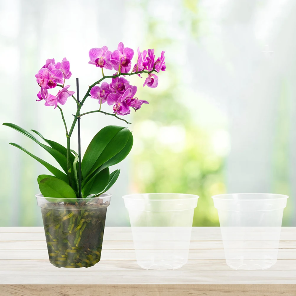 40 Pcs Seedling Pot Plants Clear Orchid Pots Flower Orchids Flowers Nursery with Hole Pp for
40 Pcs Seedling Pot Plants Clear Orchid Pots Flower Orchids Flowers Nursery with Hole Pp for