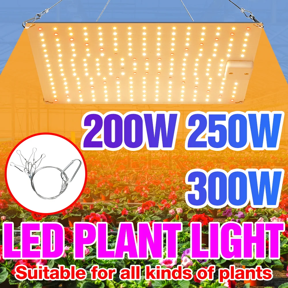 300W LED Plant Grow Light Full Spectrum Quantum Board Hydroponic Lamp UV/IR Greenhouse Tent Succulent Vegs Cultivation Lamps
300W LED Plant Grow Light Full Spectrum Quantum Board Hydroponic Lamp UV/IR Greenhouse Tent Succulent Vegs Cultivation Lamps