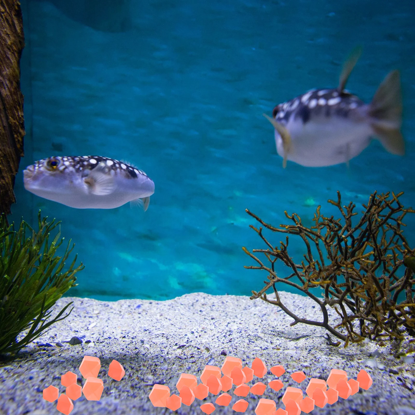 200 Pcs Luminous Stone Aquarium Accessory Resin Landscaping Rocks Decorations Stones Garden Delicate Fish Tank
200 Pcs Luminous Stone Aquarium Accessory Resin Landscaping Rocks Decorations Stones Garden Delicate Fish Tank
