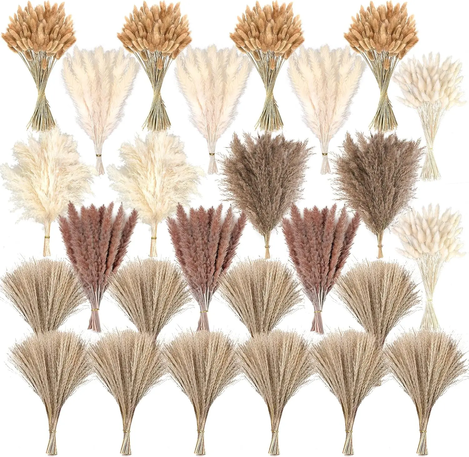 610 PCS Dried Pampas Grass Decor, Dried Flower Bouquets for Wedding, Home, Centerpiece Table, Modern
610 PCS Dried Pampas Grass Decor, Dried Flower Bouquets for Wedding, Home, Centerpiece Table, Modern