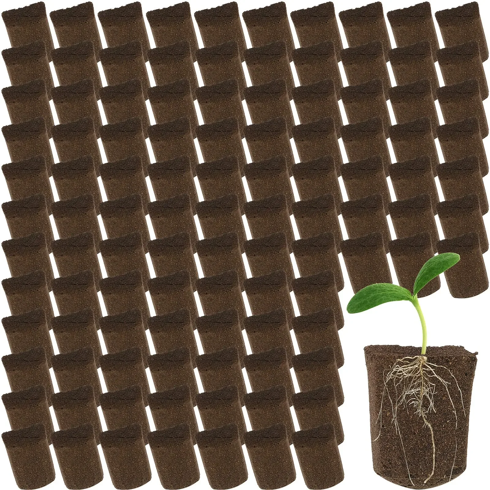 Hydroponic Sponge Starter Pods For Plant Cloning And Growing 200 Pieces
Hydroponic Sponge Starter Pods For Plant Cloning And Growing 200 Pieces