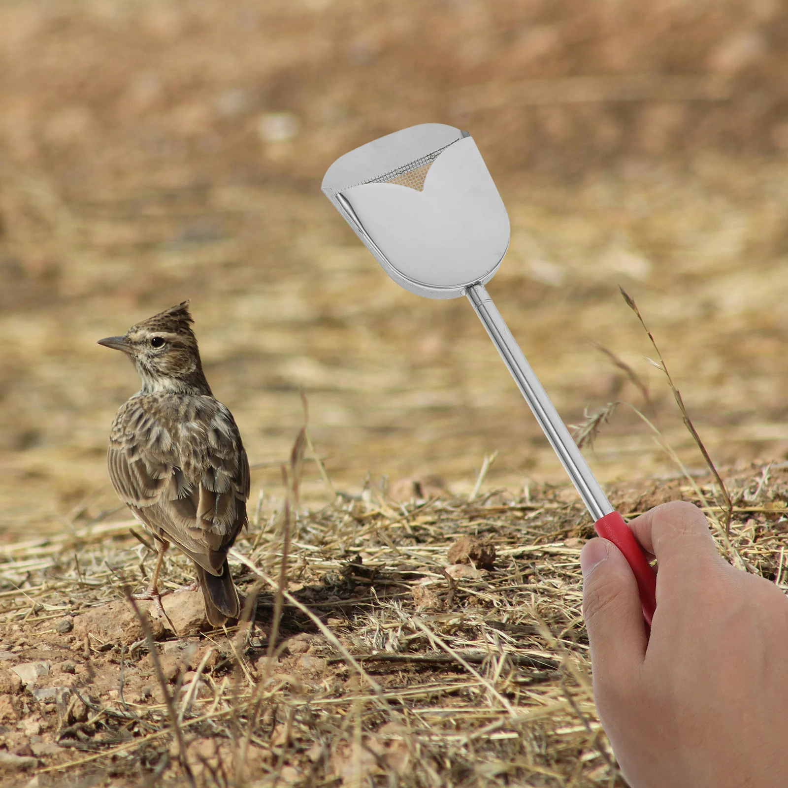 Extendable Poop Stainless Steel Long Handle Litter Scooper For Bird Cage Chicken Coop Cleaning Tool Adjustable Pet Pooper
Extendable Poop Stainless Steel Long Handle Litter Scooper For Bird Cage Chicken Coop Cleaning Tool Adjustable Pet Pooper