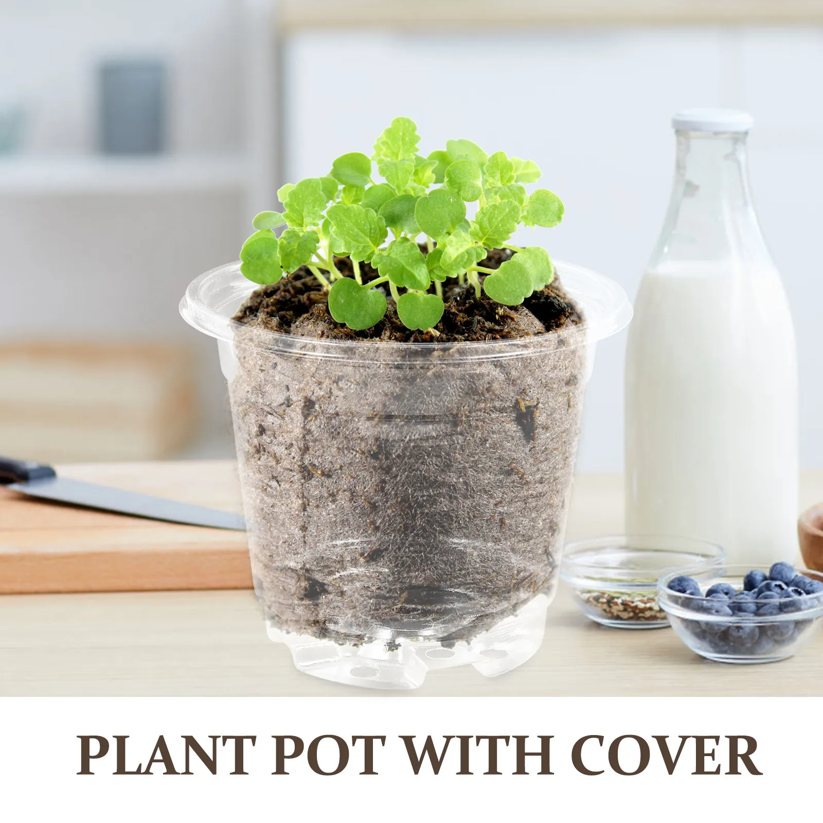 15Pcs Moisture Retention Seedling Pots Plastic Nursery with Drainage Holes Garden Supply for Flower Plants Indoor
15Pcs Moisture Retention Seedling Pots Plastic Nursery with Drainage Holes Garden Supply for Flower Plants Indoor