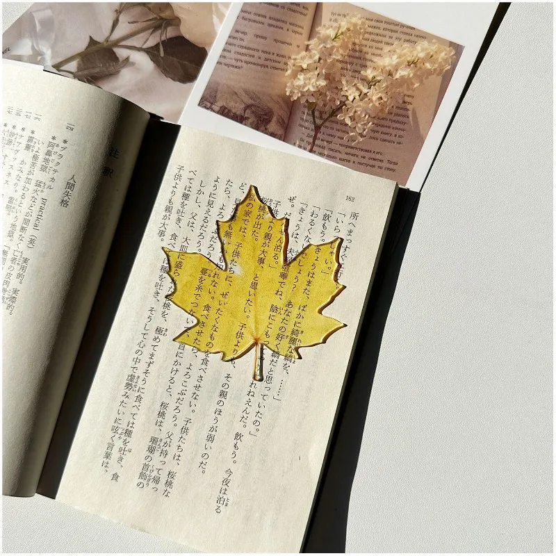 Cute Maple Leaf Acrylic Bookmark Translucent Ins Style Page Marker for Study Reading Aesthetic Punch Card for Learning Tracker
Cute Maple Leaf Acrylic Bookmark Translucent Ins Style Page Marker for Study Reading Aesthetic Punch Card for Learning Tracker