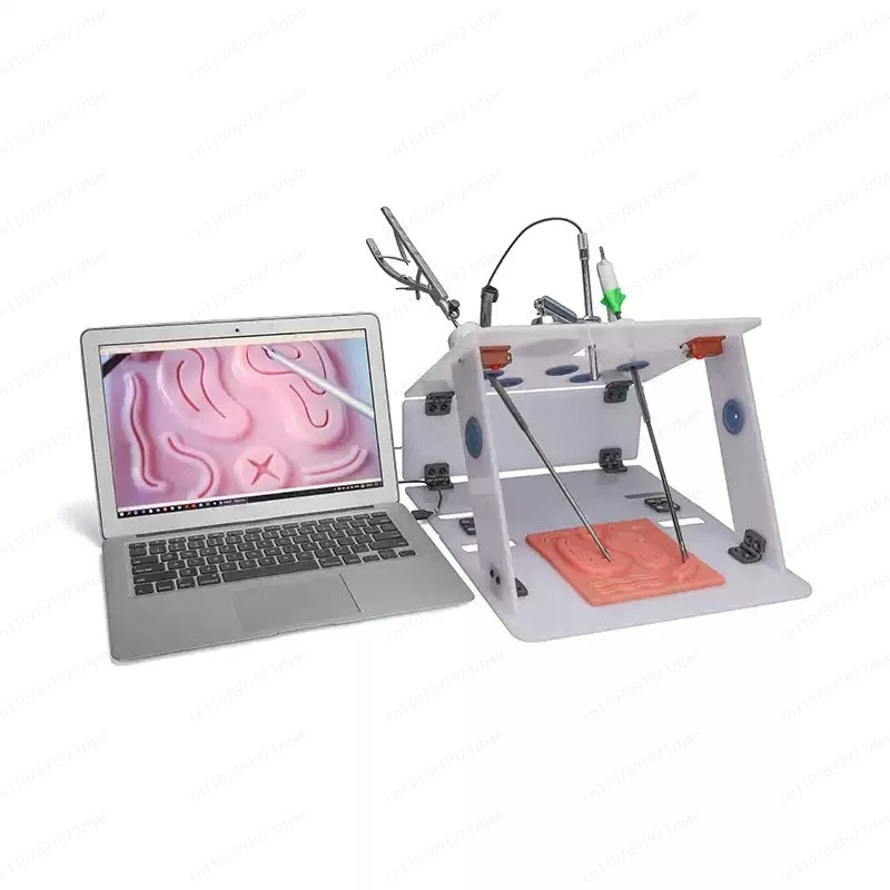 Laparoscopic Training Simulator, 30° Adjustable Endoscope, for General, Chest & Gynecology, gYnecology Practice
Laparoscopic Training Simulator, 30° Adjustable Endoscope, for General, Chest & Gynecology, gYnecology Practice
