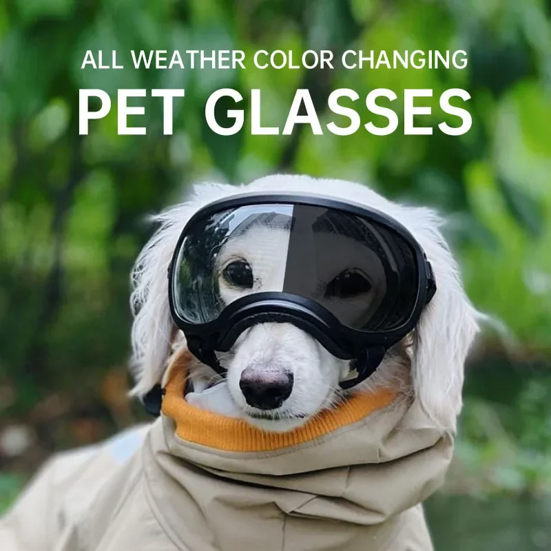 Color changing pet glasses, dog goggles, size dog sunglasses, snow glasses, UV resistant dog sunglasses
Color changing pet glasses, dog goggles, size dog sunglasses, snow glasses, UV resistant dog sunglasses