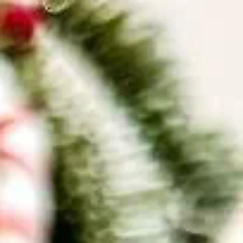 Cute Christmas Plush Coin Purse Kawaii Santa Claus Snowman Doll Coin Pouch Keychain Backpack Pendant Decoration Children Gift
Cute Christmas Plush Coin Purse Kawaii Santa Claus Snowman Doll Coin Pouch Keychain Backpack Pendant Decoration Children Gift