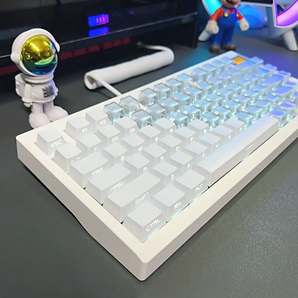 131 Keys Side-Word Transparency No-Word Keycaps OEM Height PBT Thermal Sublimation For 61 87 98 104 108 Mechanical Keyboard
131 Keys Side-Word Transparency No-Word Keycaps OEM Height PBT Thermal Sublimation For 61 87 98 104 108 Mechanical Keyboard