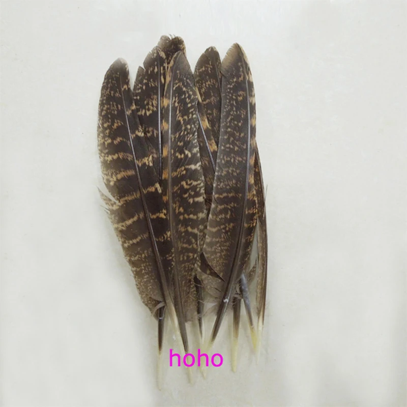 50Pcs/lot!15-20cm Natural Pheasant Quill Feathers,Pheasant Quills,Wing Feathers,hat feathers,feathers for earrings
50Pcs/lot!15-20cm Natural Pheasant Quill Feathers,Pheasant Quills,Wing Feathers,hat feathers,feathers for earrings