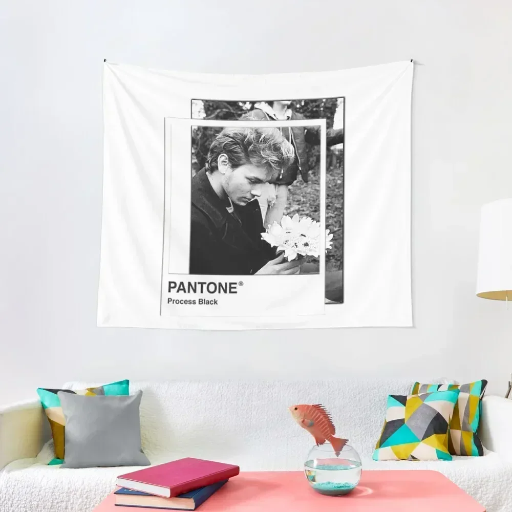 River Phoenix Pantone Tapestry Christmas Decoration Decoration For Home Custom Room Decor Cute Tapestry
River Phoenix Pantone Tapestry Christmas Decoration Decoration For Home Custom Room Decor Cute Tapestry