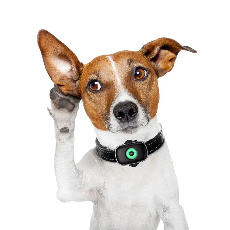 Hot sales pet products 4g gps real-time for pets waterproof anti-los pet running outdoors
Hot sales pet products 4g gps real-time for pets waterproof anti-los pet running outdoors