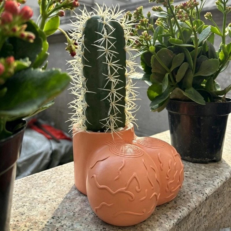 New product parody egg pot succulent pot garden plant pot courtyard resin crafts creative gift
New product parody egg pot succulent pot garden plant pot courtyard resin crafts creative gift