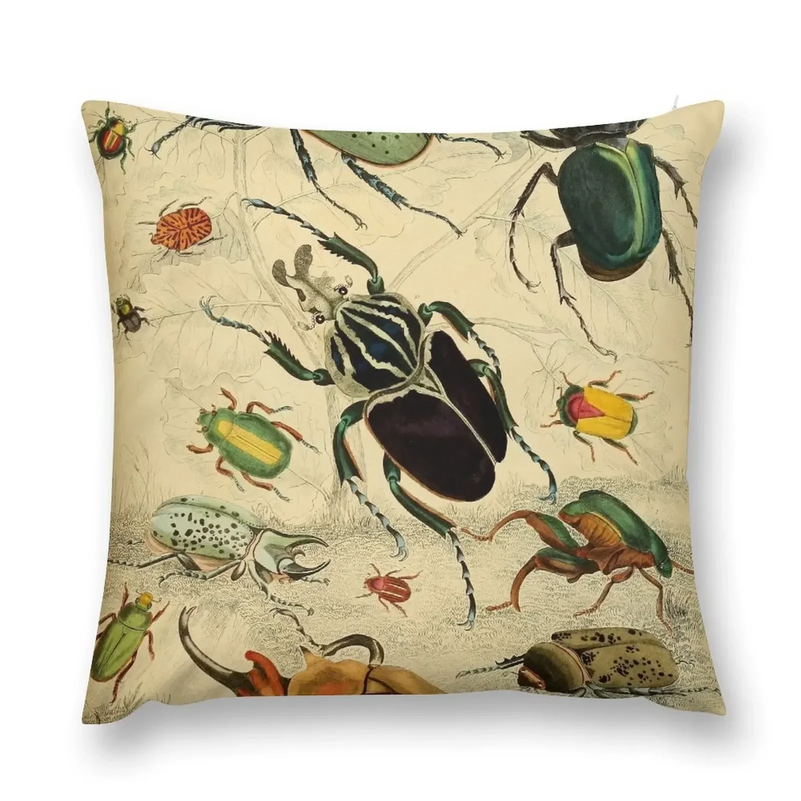 Vintage Beetles Illustration Throw Pillow Luxury Pillow Cover Decorative pillowcase Cushion Cover pillow
Vintage Beetles Illustration Throw Pillow Luxury Pillow Cover Decorative pillowcase Cushion Cover pillow
