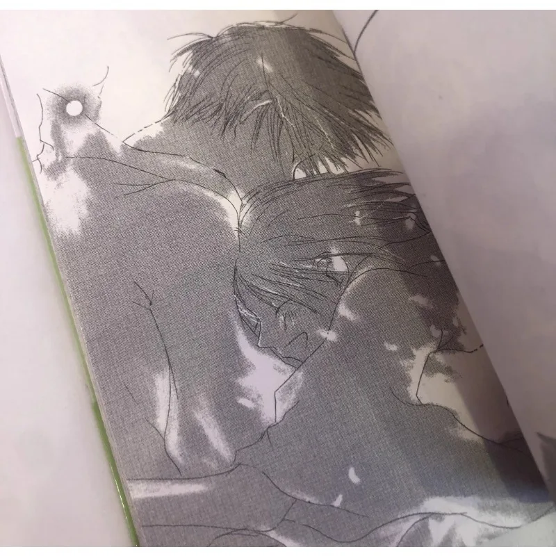 Manga Into The Forest of Fireflies' Light Natsume's Book of Friends Hotarubi No Mori E Yuki Midorikawa Comic Book Anime
Manga Into The Forest of Fireflies' Light Natsume's Book of Friends Hotarubi No Mori E Yuki Midorikawa Comic Book Anime