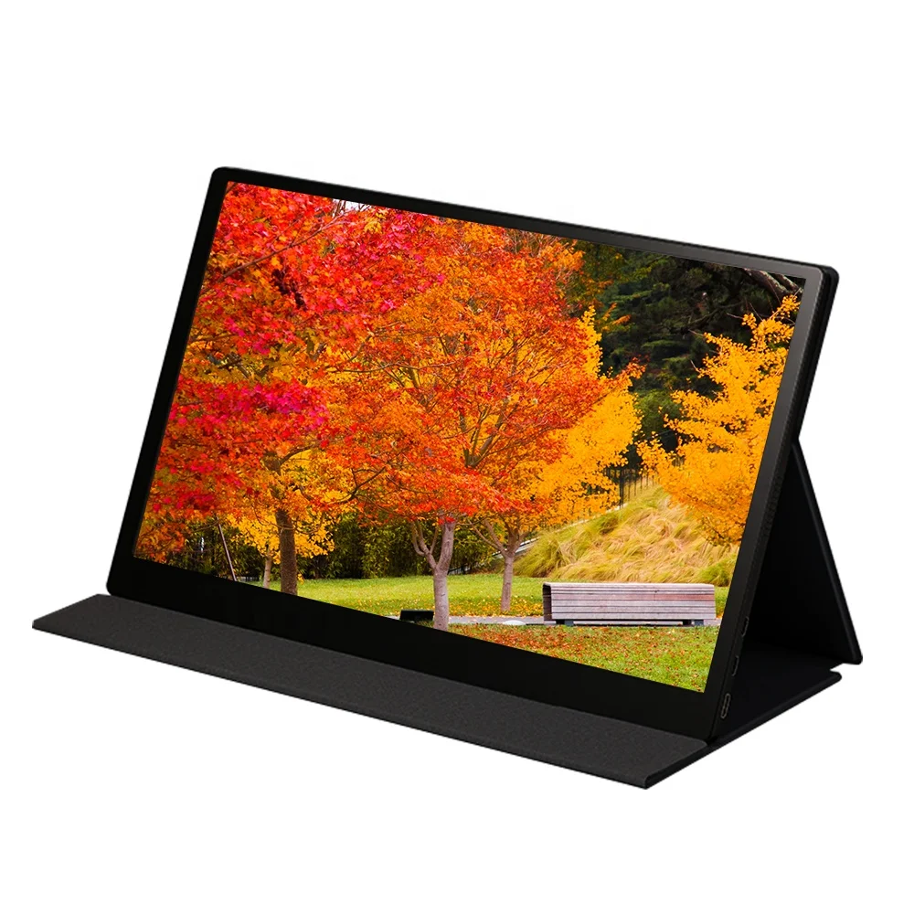 15,6-дюймовый одиночный портативный монитор DVI, совместимый с адаптером IPS-дисплея для старого ноутбука, обновление внешнего экрана для бизнеса
15,6-дюймовый одиночный портативный монитор DVI, совместимый с адаптером IPS-дисплея для старого ноутбука, обновление внешнего экрана для бизнеса