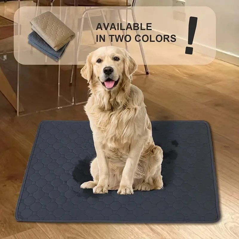 Reusable Waterproof Pet Pee Pad, Non-slip, Easy Dry Training Pad, Convenient Dog Training and Quick Drying
Reusable Waterproof Pet Pee Pad, Non-slip, Easy Dry Training Pad, Convenient Dog Training and Quick Drying