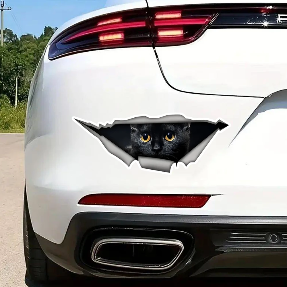 20x7,5 см, забавные декоративные наклейки на автомобиль с милым котом, клейкая наклейка для автомобилей, грузовиков, мотоциклов, ноутбуков - в помещении и на открытом воздухе
20x7,5 см, забавные декоративные наклейки на автомобиль с милым котом, клейкая наклейка для автомобилей, грузовиков, мотоциклов, ноутбуков - в помещении и на открытом воздухе