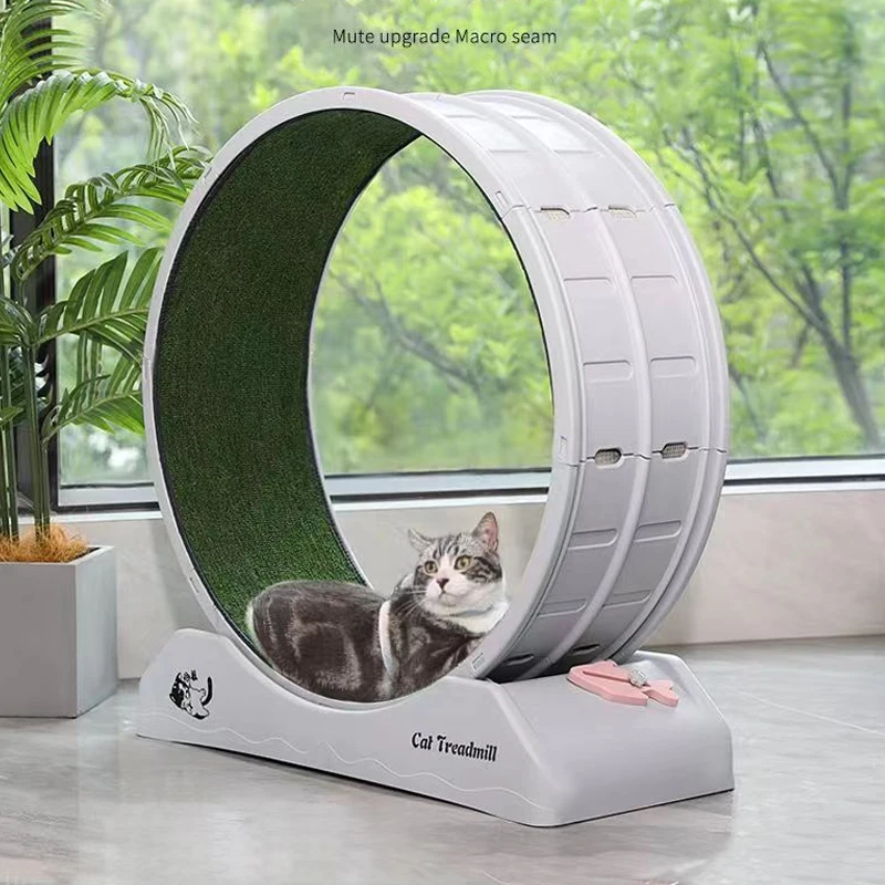 Cat Toys Silent Treadmill Wear-Resistant 0 Formaldehyde Cat Fitness Treadmill Wheels Sustainable Cat Play Cat Accessories
Cat Toys Silent Treadmill Wear-Resistant 0 Formaldehyde Cat Fitness Treadmill Wheels Sustainable Cat Play Cat Accessories