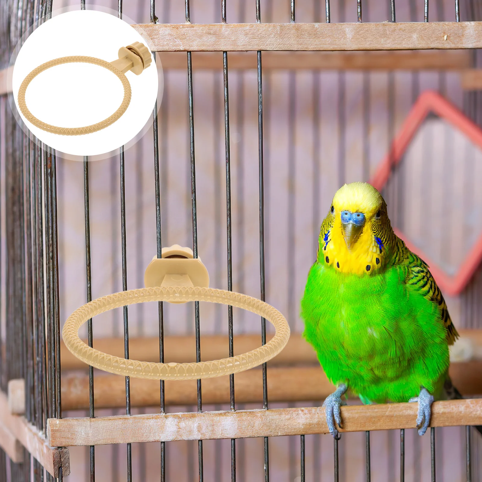 3pcs Plastic Bird Cage Stand For Parrots Canaries Budgies Lightweight Durable Easy Assembly No Tools Compatible Bird
3pcs Plastic Bird Cage Stand For Parrots Canaries Budgies Lightweight Durable Easy Assembly No Tools Compatible Bird